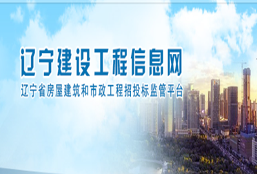 关于印发《2024年全省房屋建筑和市政工程招标投标市场乱象专项整治行动方案》的通